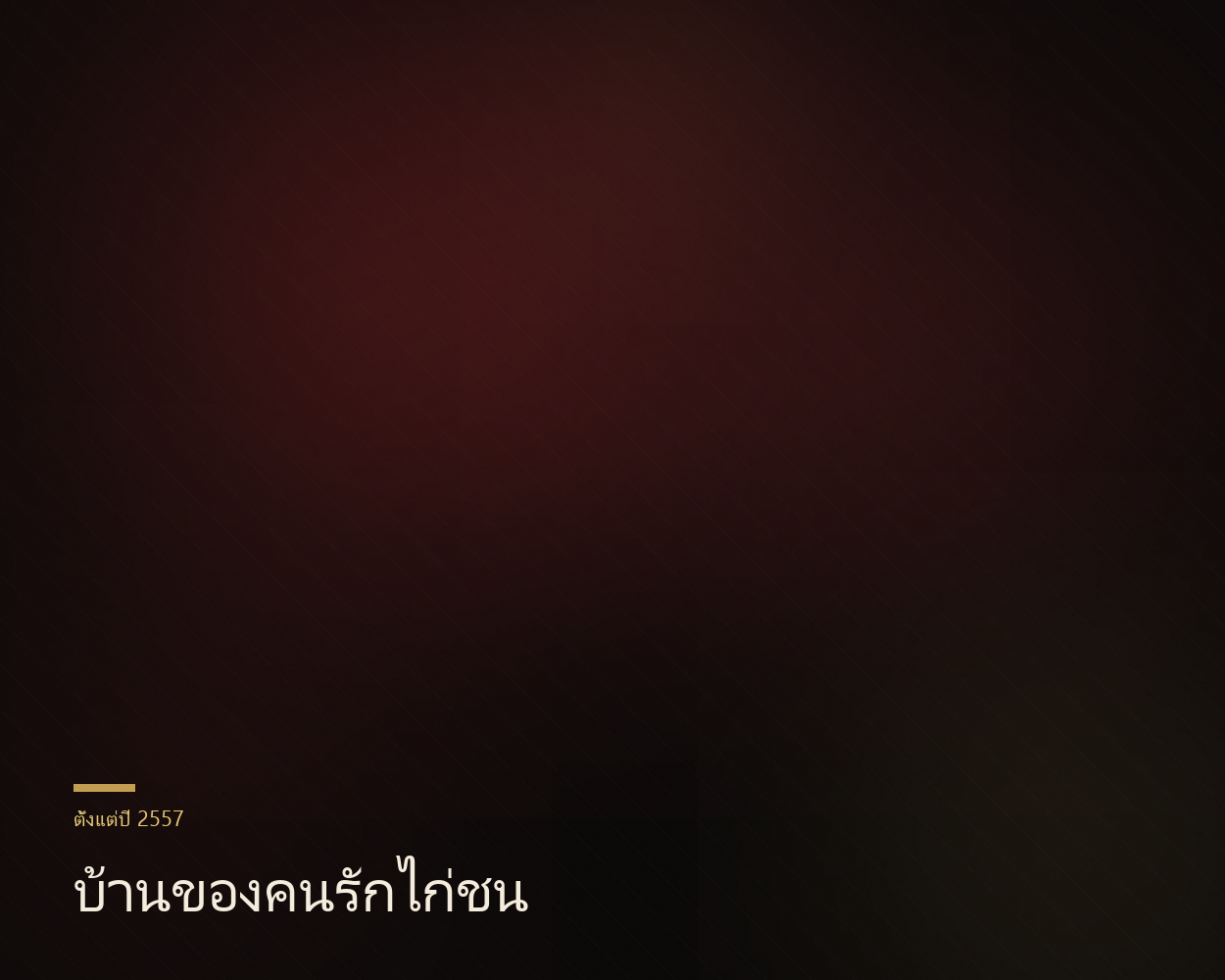 ทีมงานคลับวัวชนและบรรยากาศสนาม