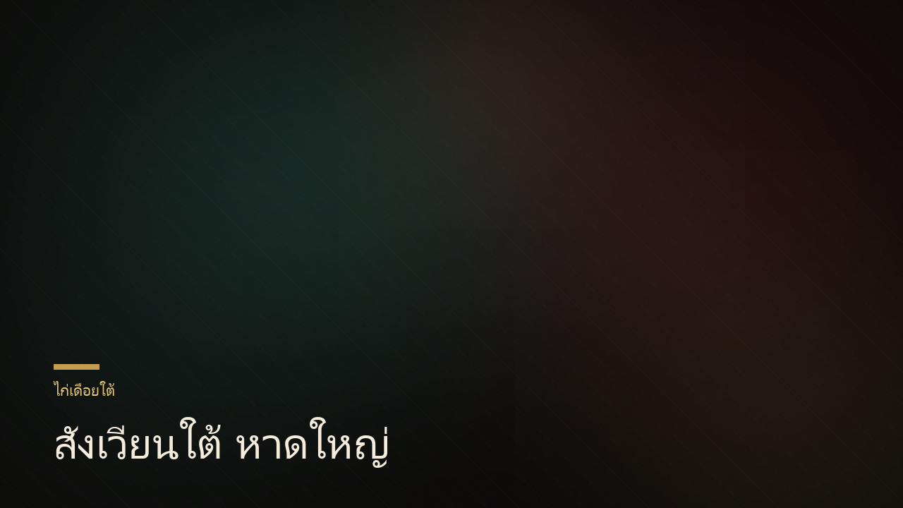 สนามชนโคนาบินหลา