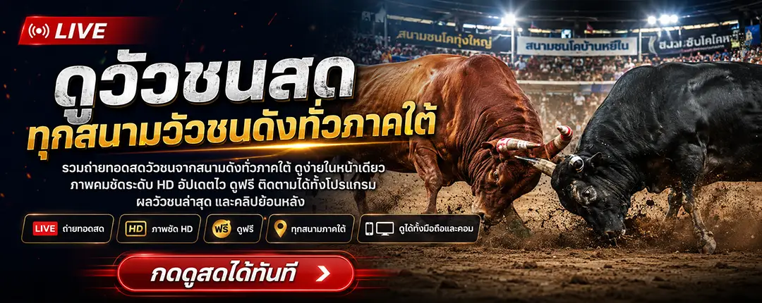 คลับวัวชน ศูนย์รวมวัวชนภาคใต้ โปรแกรม ผล ถ่ายทอดสดทุกสนาม ดูฟรี