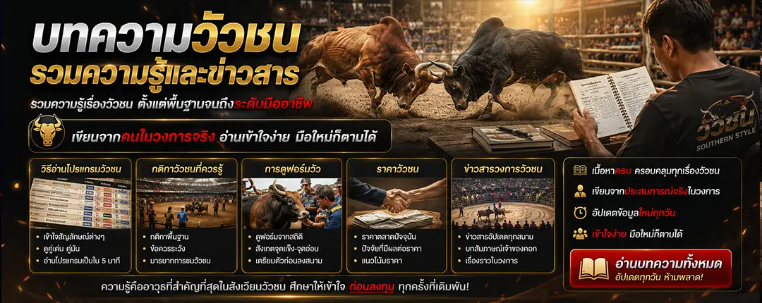 บทความวัวชน ความรู้วิธีอ่านโปรแกรมและวงการวัวชนภาคใต้