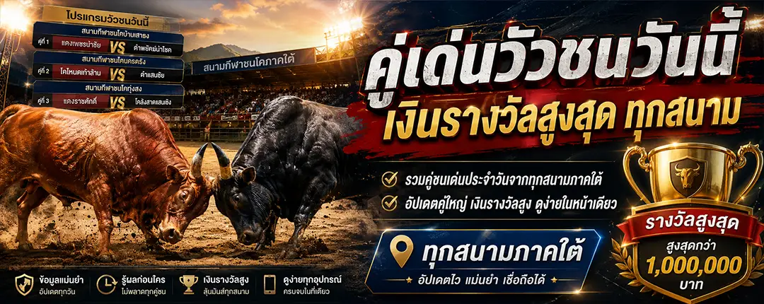 คู่เด่นวัวชนวันนี้ คู่เงินรางวัลสูงสุดของวันทุกสนาม
