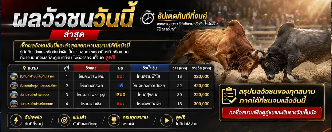 ผลวัวชนวันนี้ล่าสุด สรุปผลแพ้ชนะทุกสนามภาคใต้